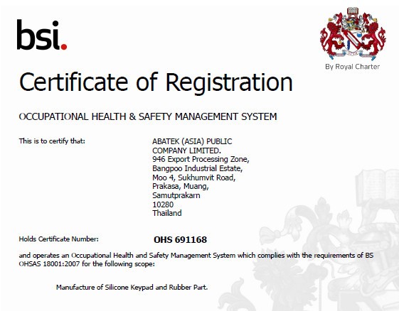 se iso 18001 Certification